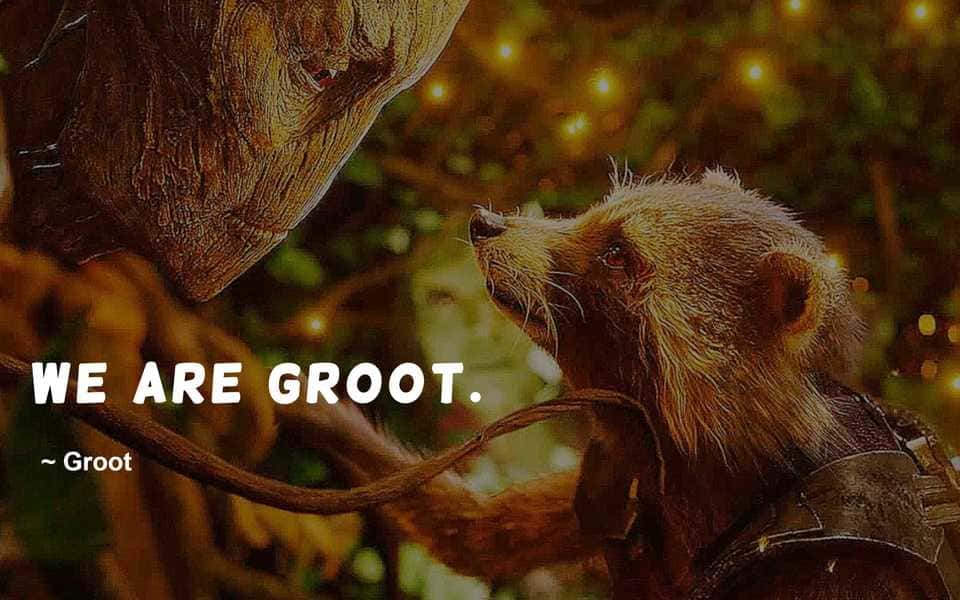Groot Quote